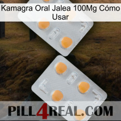 Kamagra Oral Jalea 100Mg Cómo Usar 25